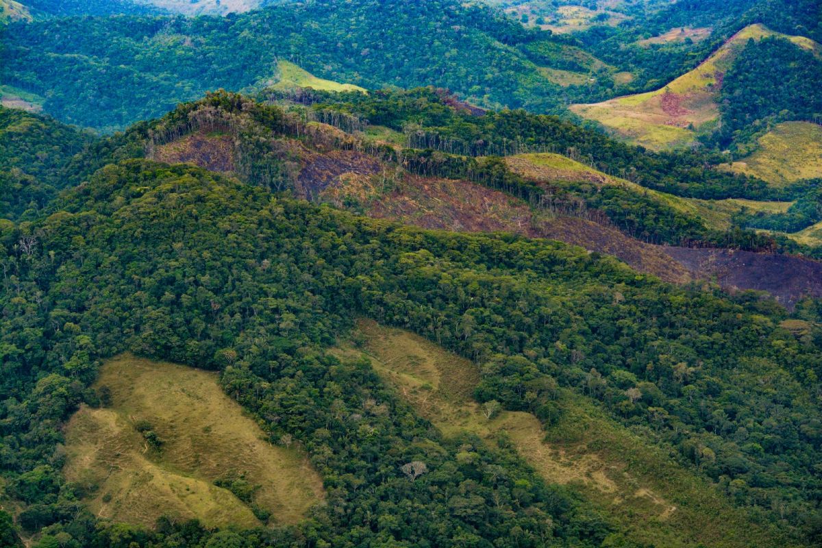 Ley de acción climática FCDS Fundación para la Conservación y el