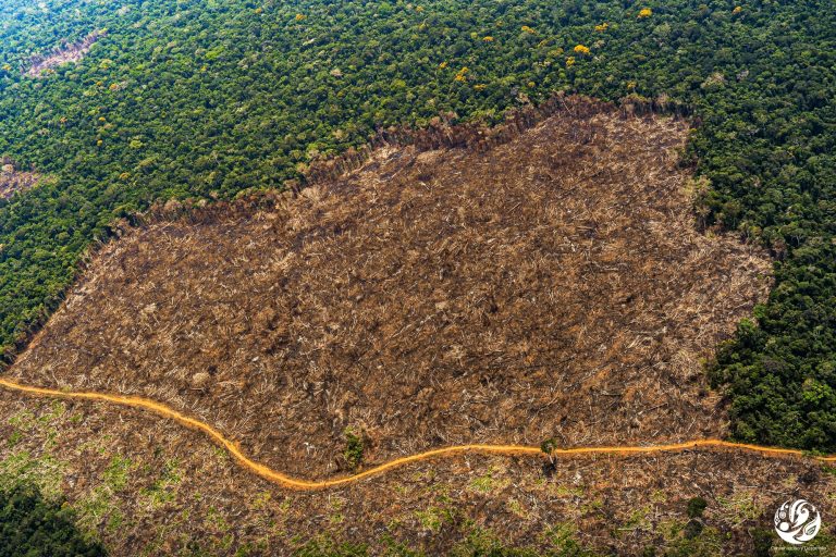 deforestacion-amazonia