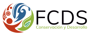 Logo-FCDS-300x119-fin