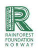 rainforest