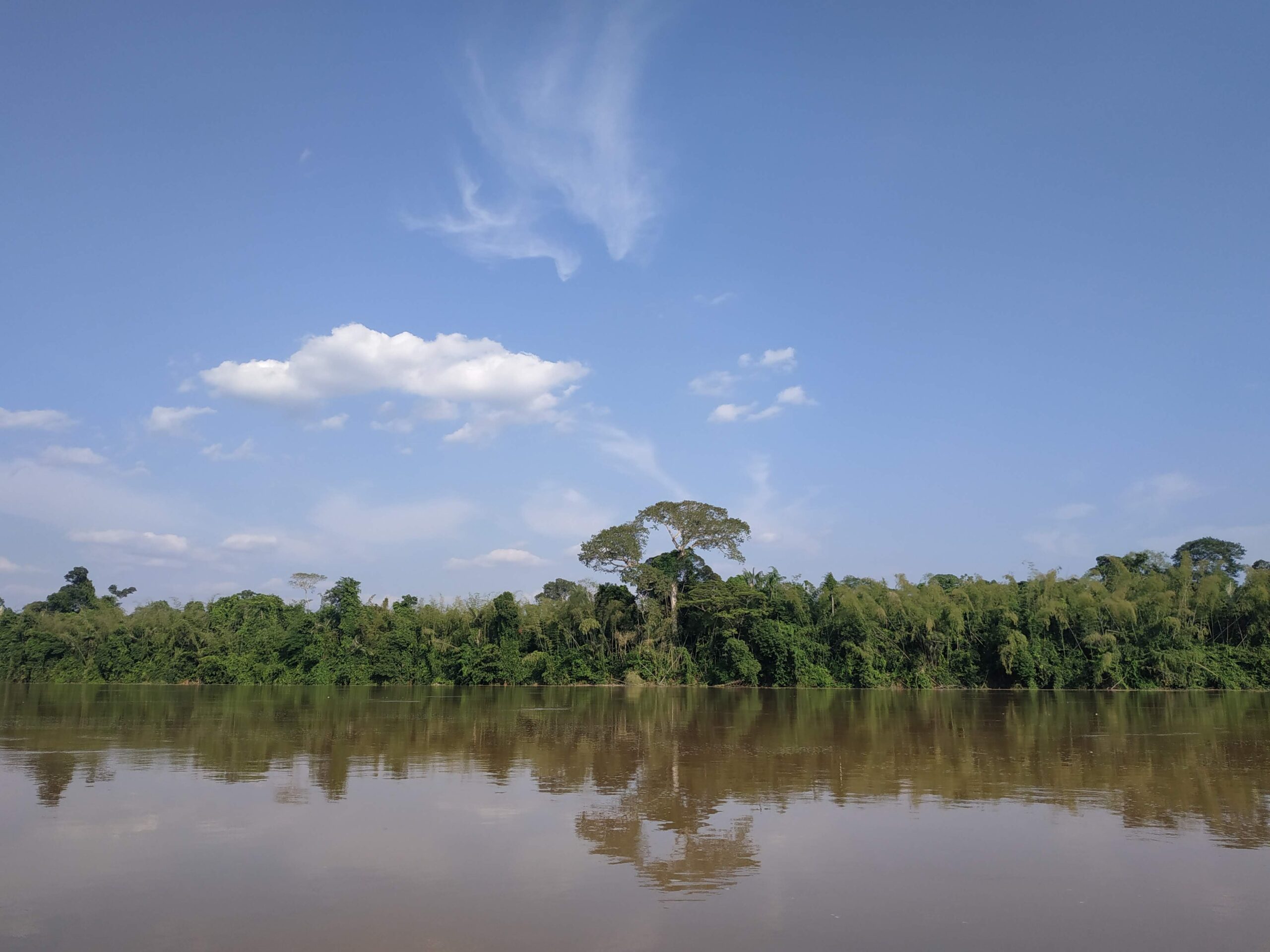 Bajo Caguán: viaje a las entrañas de la selva donde los campesinos quieren  vivir del bosque - FCDS - Fundación para la Conservación y el Desarrollo  Colombia