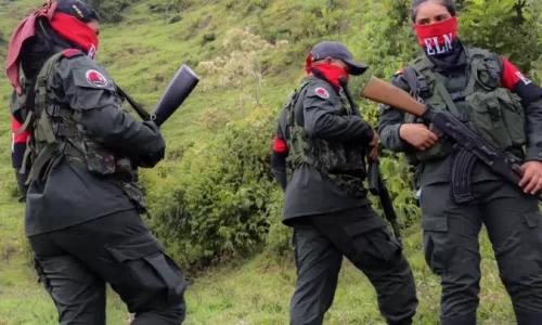 Identifican presencia de grupos armados en el 69% de la Amazonía noroccidental