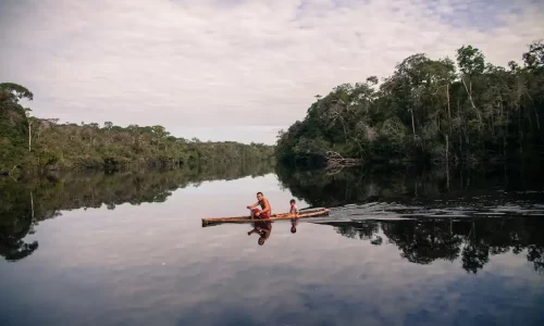 ‘Amazonía en disputa’: los datos que prueban la urgencia de proteger la selva