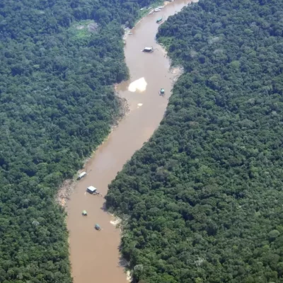 Disputa por la Amazonía: 17 grupos armados y redes criminales operan en el 69 % de la región