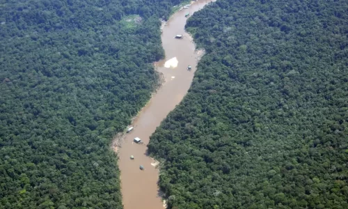 Disputa por la Amazonía: 17 grupos armados y redes criminales operan en el 69 % de la región