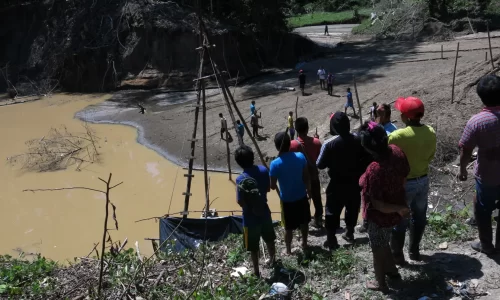 Crimen organizado es el principal acelerador de la crisis amazónica Grupos armados controlan rutas de oro, cocaína y madera