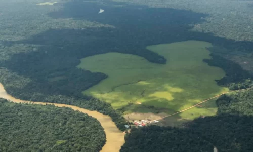 Deforestación a vuelo de pájaro así se ve la crisis de la Amazonía