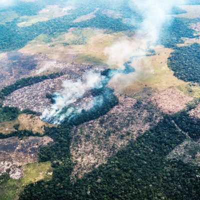 deforestacion_quemas