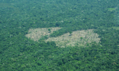 deforestacion-reserva