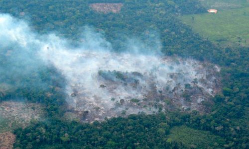 deforestar-amazonia