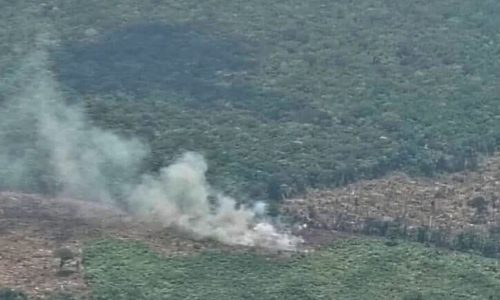 Mientras el Gobierno atiende las inundaciones en el norte de Colombia, la Amazonía es invadida y arde desapercibida