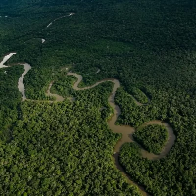 Disputa por la Amazonía: 17 grupos armados y redes criminales operan en el 69 % de la región