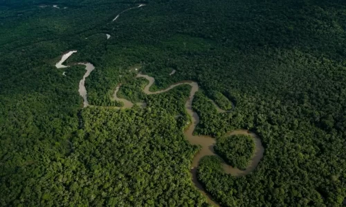 Disputa por la Amazonía: 17 grupos armados y redes criminales operan en el 69 % de la región