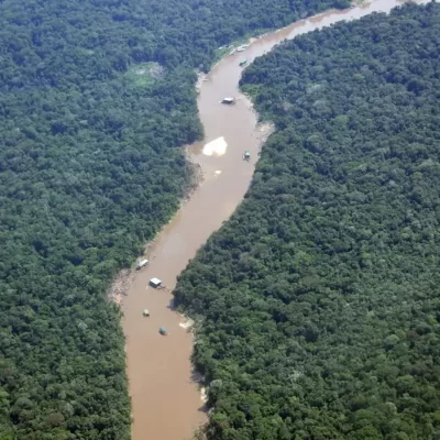 Disputa por la Amazonía 17 grupos armados y redes criminales operan en el 69 por ciento de la región