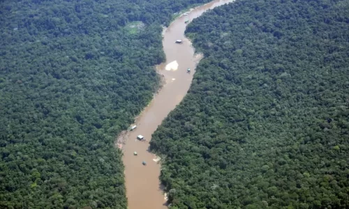 Disputa por la Amazonía 17 grupos armados y redes criminales operan en el 69 por ciento de la región