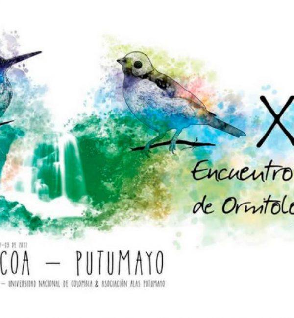 encuentro_ornitologia-924x538