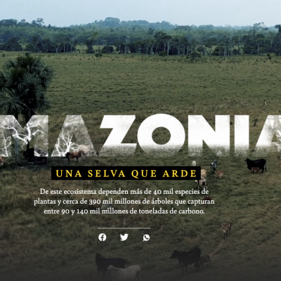 especial-web-amazonia
