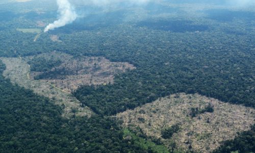 foto_vias_amazonia_calamar_miraflores__copy_rodrigo_botero_fcds-min