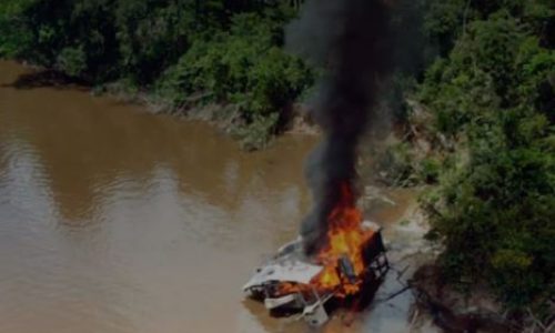 la amazonia vive una expansión criminal sin precedentes