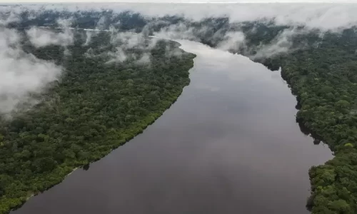 La expansión de carreteras ilegales coca y ganadería profundiza la crisis en la Amazonía colombiana