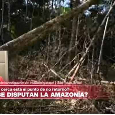 Los delitos ambientales son la tercera economía del mundo Melina Risso sobre la Amazonía