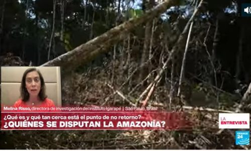 Los delitos ambientales son la tercera economía del mundo Melina Risso sobre la Amazonía