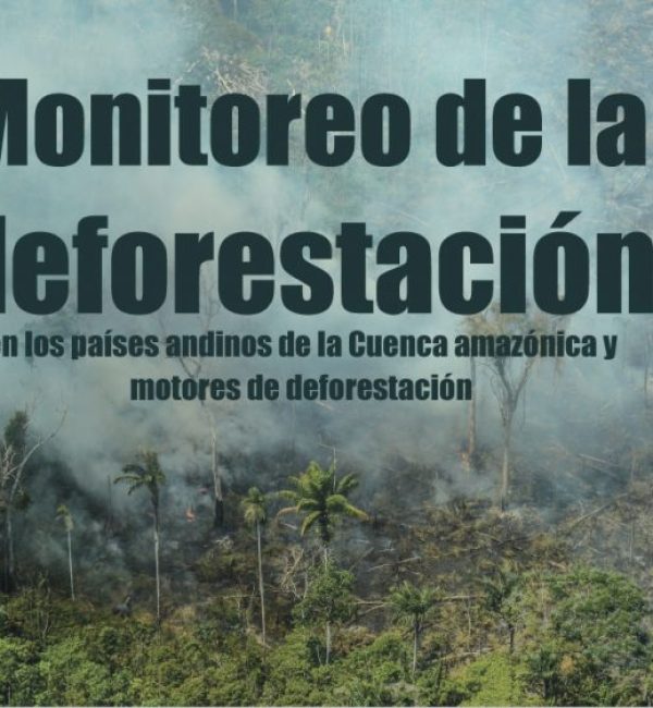 monitoreo-de-la-deforestacion