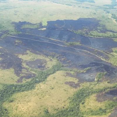 Carreteras ilegales, coca y ganadería agrandan la devastación de la Amazonía de Colombia