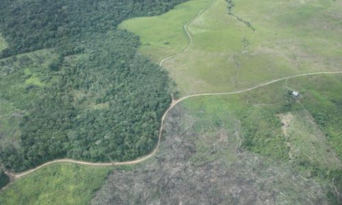 perdida-conectividad-andes-amazonia