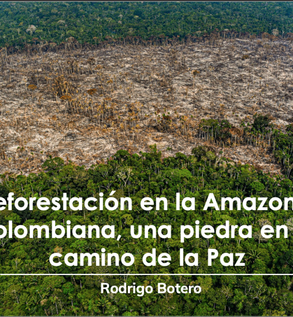 presentacion-deforestacion-amazonia