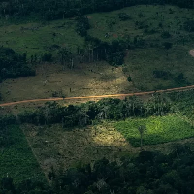 Selva tomada la Amazonía que no se entiende en cifras