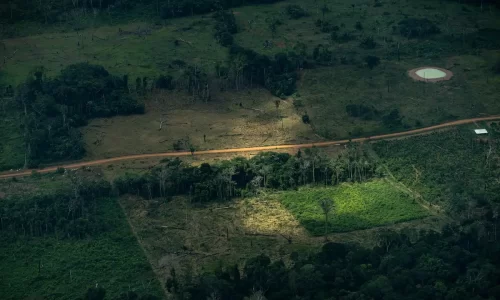 Selva tomada la Amazonía que no se entiende en cifras
