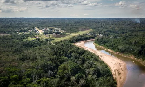 yurua-ucayali-amazonia-bosques-diego-perez-spda